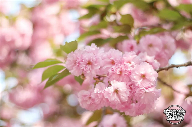 南宫娱乐·NG28(中国集团)官方网站