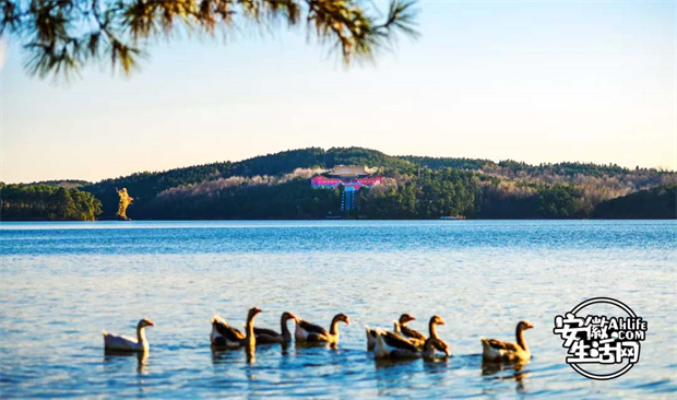 南宫娱乐·NG28(中国集团)官方网站