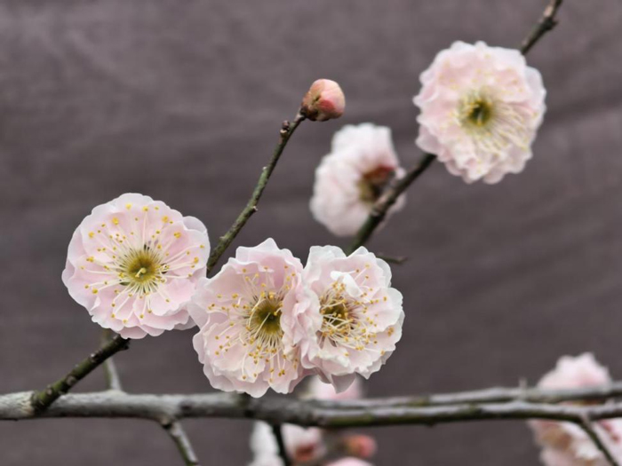 南宫娱乐·NG28(中国集团)官方网站